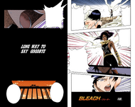 Suì-Fēng and Yoruichi on the cover of Chapter 159.