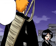 Rukia berates Ichigo for feeling responsible for her injuries.