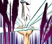 278Grimmjow counters