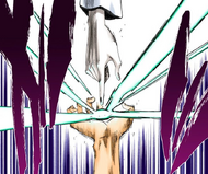 Grimmjow counters Ulquiorra's Cero with his own.