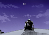 Grimmjow waits for his Fracción on the rooftop of a building.