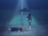 Urahara and Yoruichi arrive to save Ichigo.