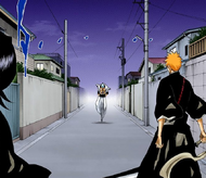 Grimmjow confronts Ichigo and Rukia.