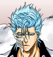 Grimmjow.