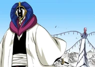 Mayuri breaks his Zanpakutō off in Szayelaporro's corpse.