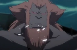 Hozukimaru espíritu