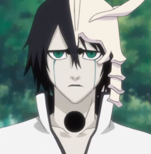 Ulquiorra Cifer, Bleach Wiki, FANDOM powered by Wikia