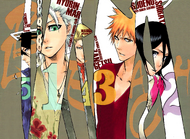 348Fifth Popularity Poll