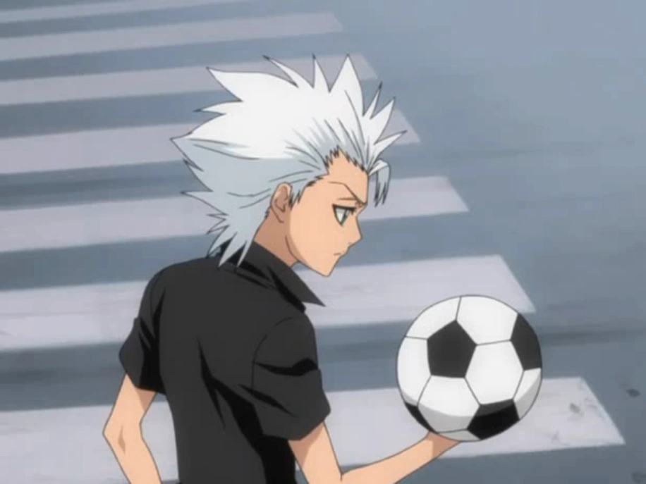 Bleach Karin And Toshiro Episodes