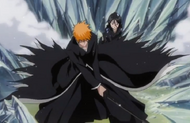 Ichigo stands in front of Rukia.