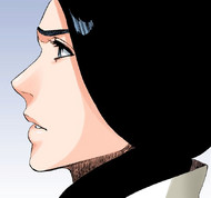 Unohana displaying her loyalty to Yamamoto's last order.