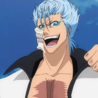 Grimmjow Jaegerjaquez Bleach Wiki Fandom Ulquiorra for a long time. grimmjow jaegerjaquez bleach wiki