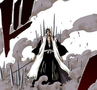 139Kenpachi withstands