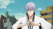 Gin prepares to use Butō.