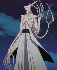 Shawlong Koufang | Bleach Wiki | Fandom