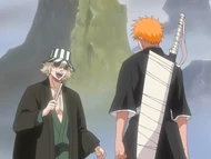 Urahara informs Ichigo of Yoruichi's investigation alongside the Gotei 13.