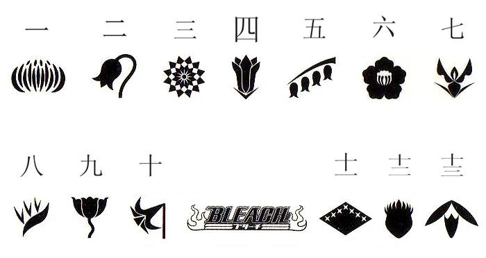 bleach characters captains and lieutenants