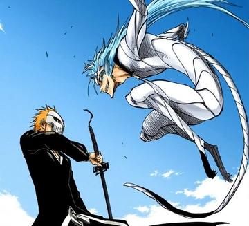 Bleach Grimmjow Pantherform