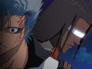 Kaname Tōsen stops Grimmjow from continuing his battle.