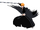 Bleach: Soul Resurrección/Image Gallery