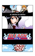 Rukia and Ichigo on the cover of Chapter 16.