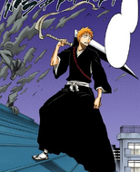 Ichigo finishes purifying a Hollow.