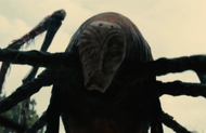 Hexapodus.