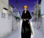 Ichigo arrives at the Urahara Shop.