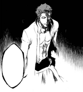 Aizen reveals the Hōgyoku has begun to understand him.