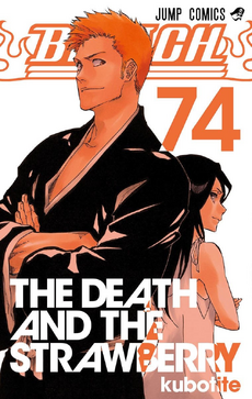 BLEACH Manga Volume 11