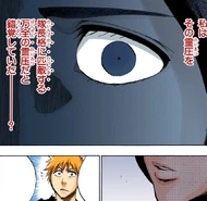 Unohana realizes that Ichigo's Reiryoku is comparable to a captain's even at less than half of its capacity.