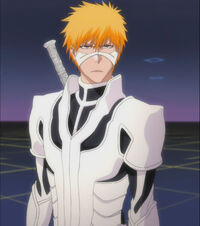 Ichigos-full-fullbring-form