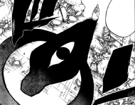 Tajemniczy cień za Ukitake