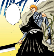 Ichigo removes the Tentōken.