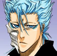 Grimmjow.