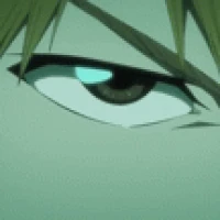 Getsuga TenshÅ Bleach Wiki Fandom The final battle between zangetsu and ichigo, leading into the use of the final getsuga tenshou.