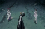 Ichigo is confronted by Tobiume and Haineko.