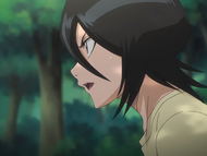 Rukia determines that there are eight Bount present at the mansion.