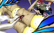 Renji protects Jinta from Yylfordt.