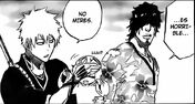 Bleach5(487)