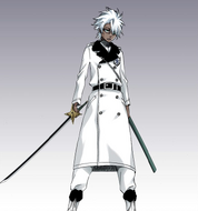 Hitsugaya arrives as a zombie.