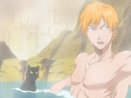 Ichigo discusses the Study Chamber with Yoruichi.