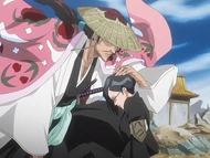 Shunsui protecting  from Yamamoto's .