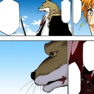 Komamura thanks Ichigo for preventing him from charging in against Aizen while blinded by rage.