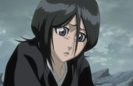 Rukia reveals that she remembers what happened.