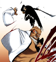 Arrancar Invasion | Bleach Wiki | Fandom