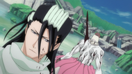 Byakuya defeats Zommari.