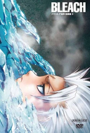 Hitsugaya on the cover of DVD volume 25.