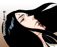 Unohana expresses happiness at finally being able to fulfill her duty.