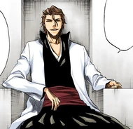 Aizen's outfit after leaving Soul Society.